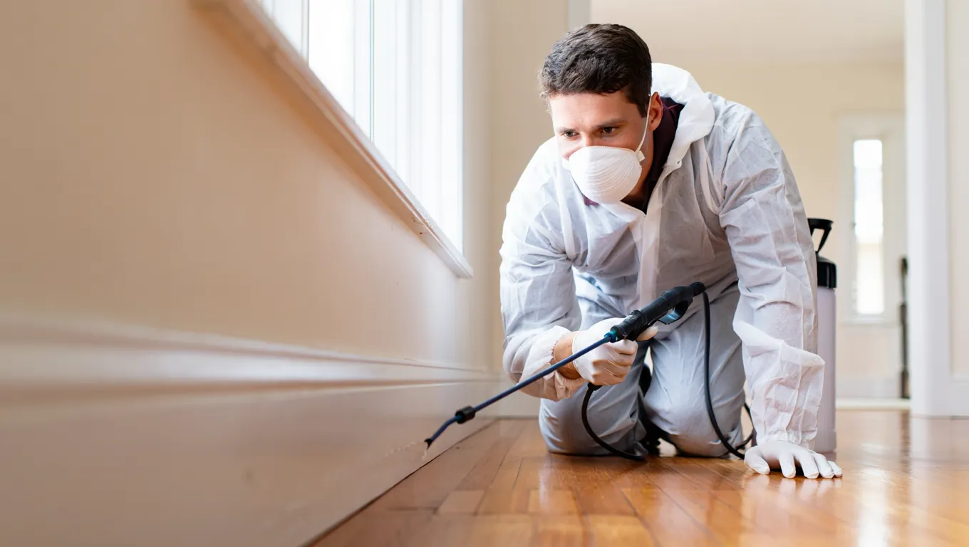 Technicien anti-nuisibles en combinaison traitant une plinthe dans une habitation de l'Oise